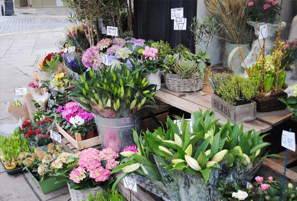 在哪些地方开花店是最好的？花店选址分享